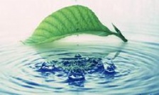  水質(zhì)檢測(cè)一次多少錢