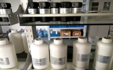  什么是氨氮總磷總氮？