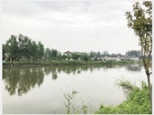  揚(yáng)州農(nóng)村投放微動(dòng)力污水處理設(shè)備 26個(gè)小盒子&ldquo;洗&rdquo;凈全村污水