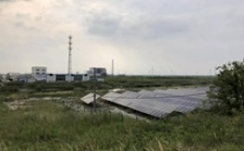  江蘇海安市違規(guī)撤銷沿海防護林和灘涂縣級自然保護區(qū)實施開發(fā)建設(shè)