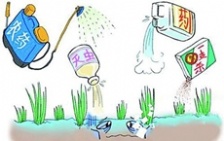  農業污染總體不樂觀