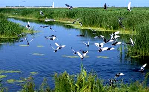 IPBES全球評(píng)估第三次作者會(huì)在德國召開